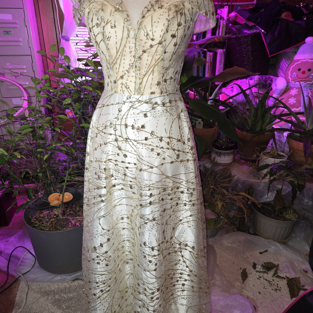 Ivory and Gold Embellished Gown
